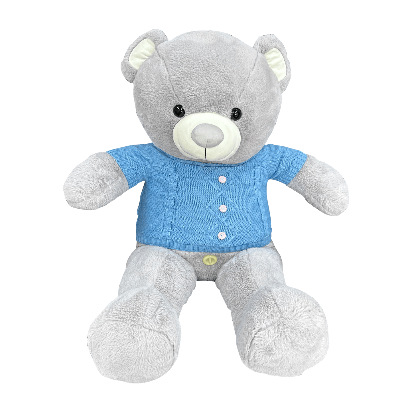 App-Controlled Teddy Bear Love Machine