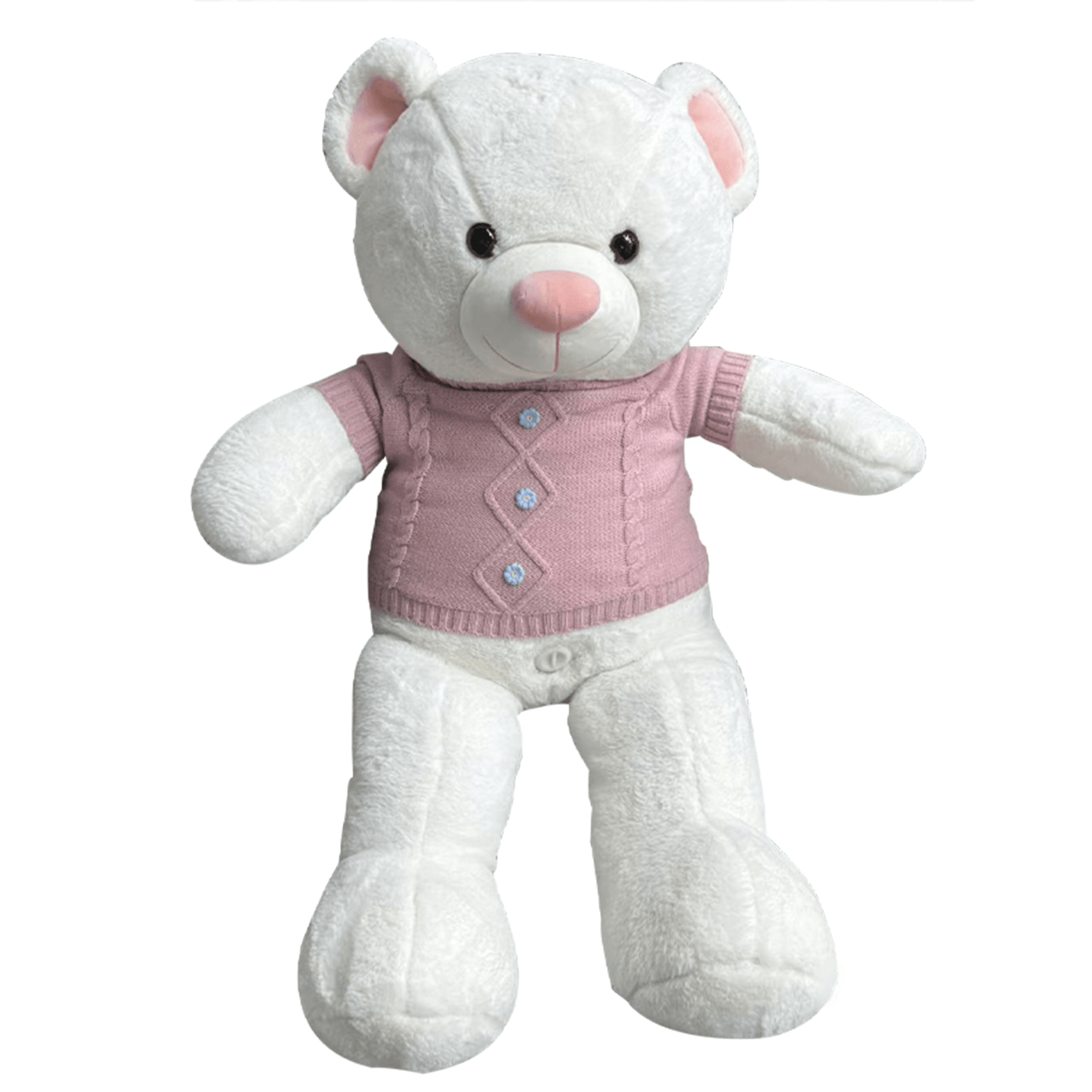 App-Controlled Teddy Bear Love Machine