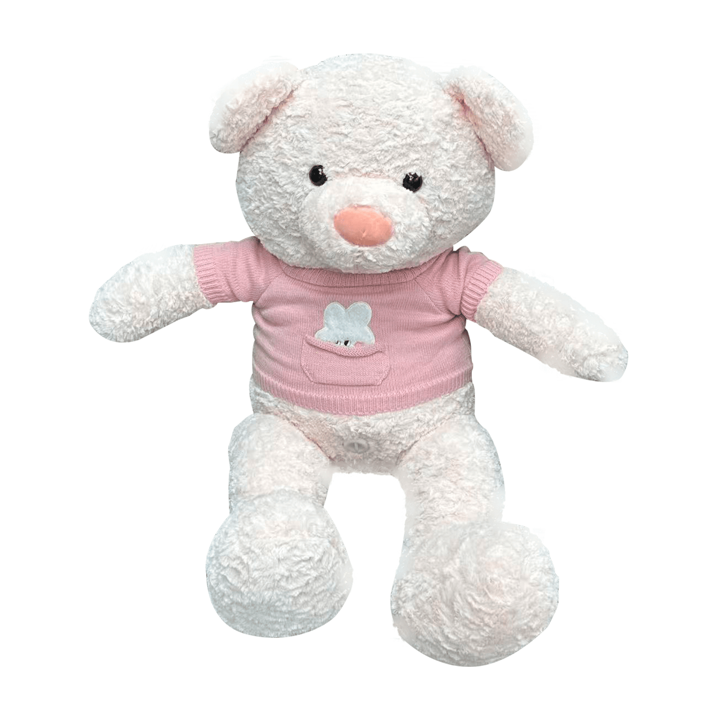 App-Controlled Teddy Bear Love Machine