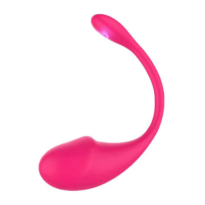 Remote Control G-Spot Panty Vibrator