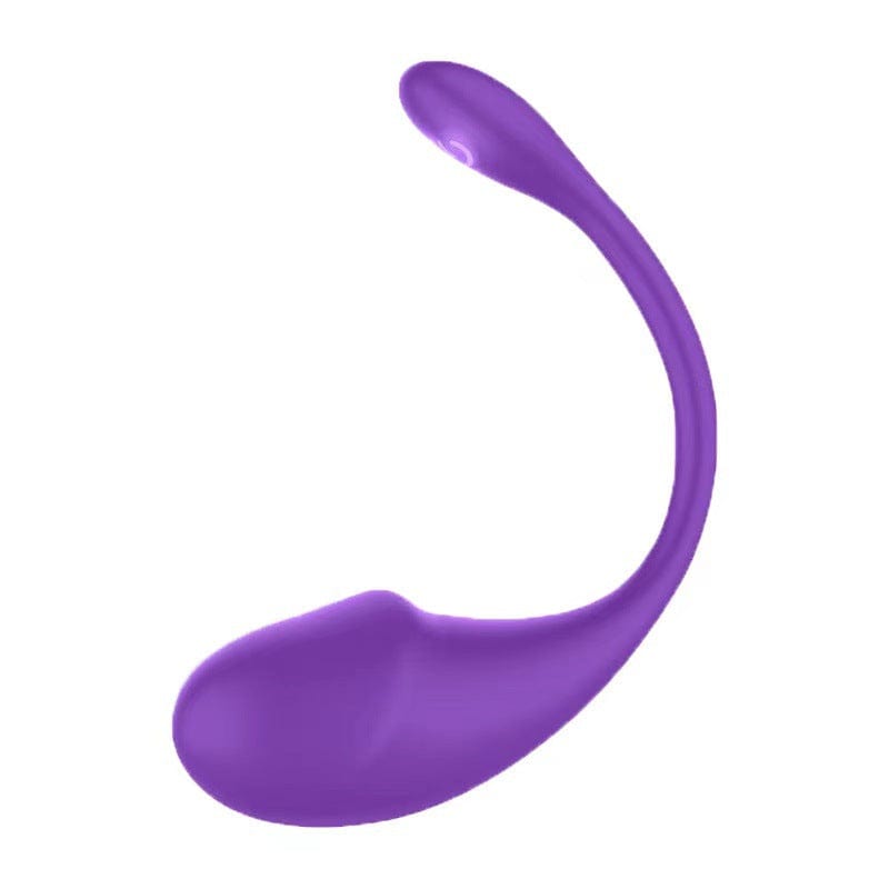 Remote Control G-Spot Panty Vibrator