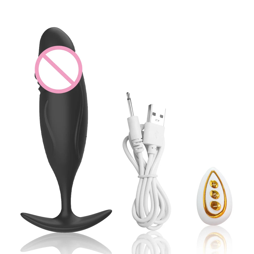 10 Mode Remote Control Vibrating Butt Plug & Mini Dildo