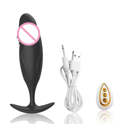 10 Mode Remote Control Vibrating Butt Plug & Mini Dildo