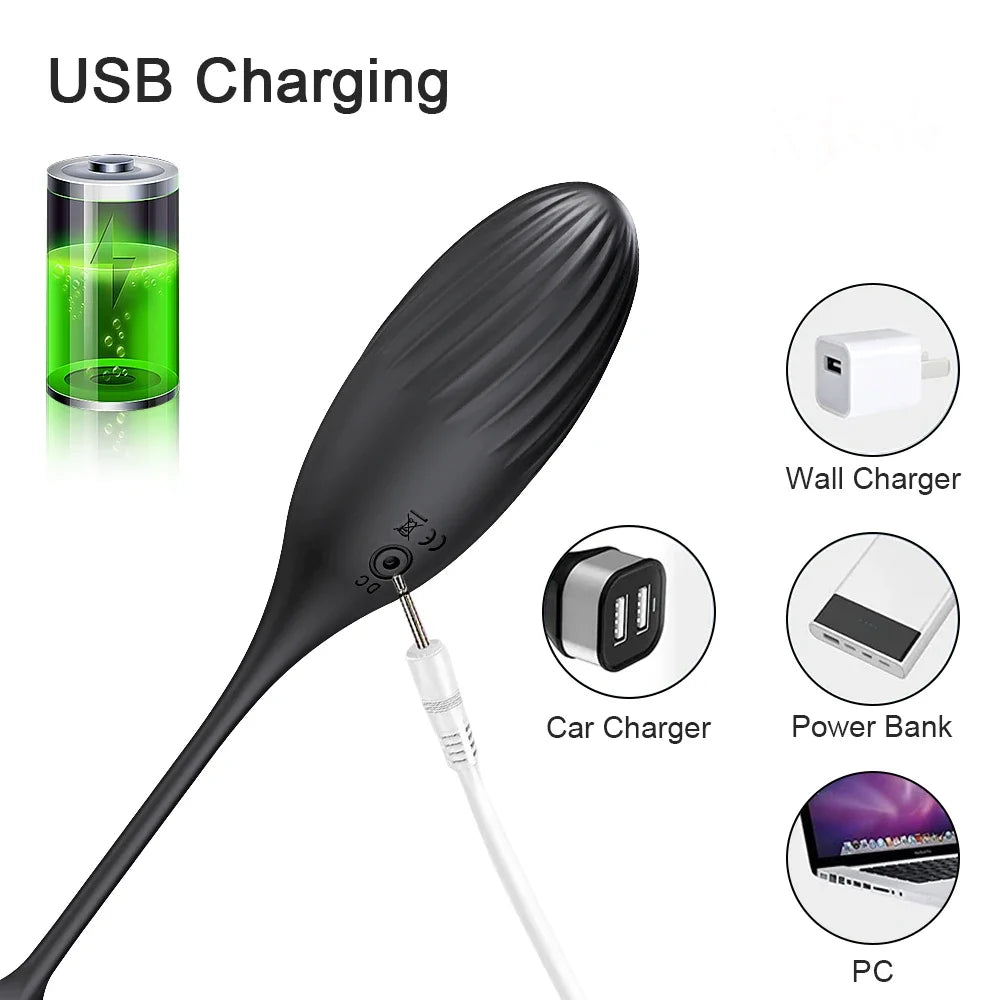 Remote Control Prostate Massager & Vibrating Butt Plug Cock Ring Combo