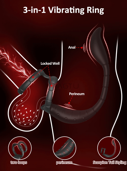 APP Control Cock Ring & Vibrating Butt Plug Prostate Massager Combo