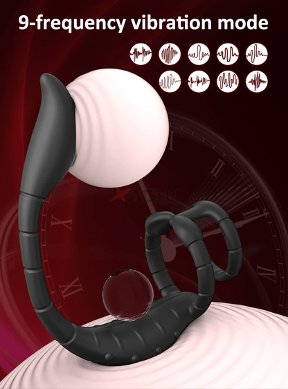APP Control Cock Ring & Vibrating Butt Plug Prostate Massager Combo