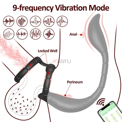 APP Control Cock Ring & Vibrating Butt Plug Prostate Massager Combo