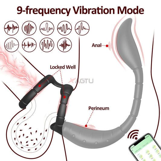APP Control Cock Ring & Vibrating Butt Plug Prostate Massager Combo