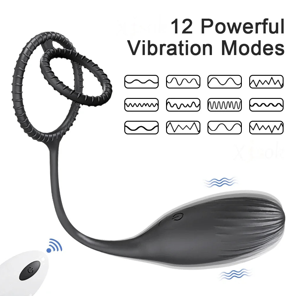 Remote Control Prostate Massager & Vibrating Butt Plug Cock Ring Combo