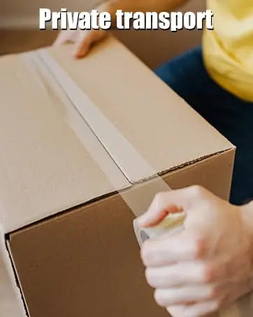 Realistic G-Spot Dildo with Suction Cup