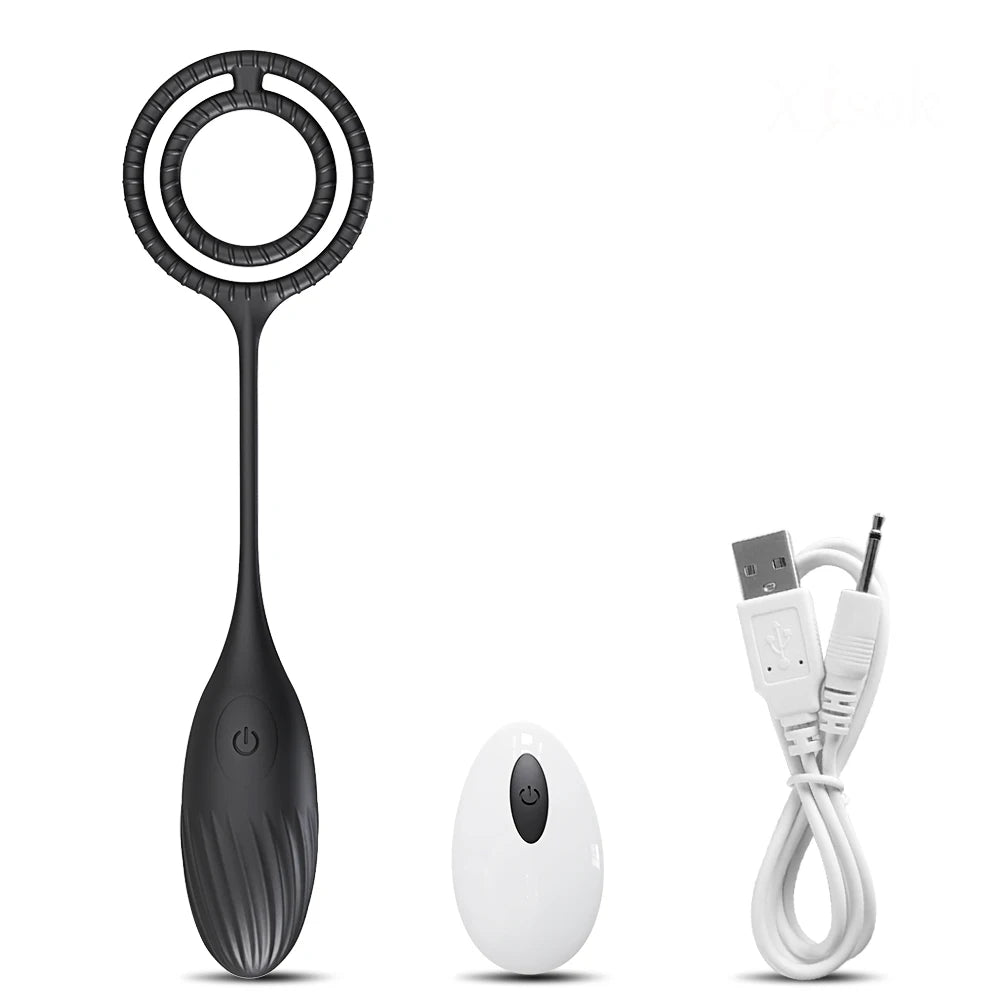 Remote Control Prostate Massager & Vibrating Butt Plug Cock Ring Combo