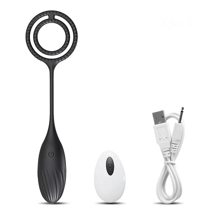 Remote Control Prostate Massager & Vibrating Butt Plug Cock Ring Combo